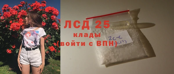 хмурый Пересвет