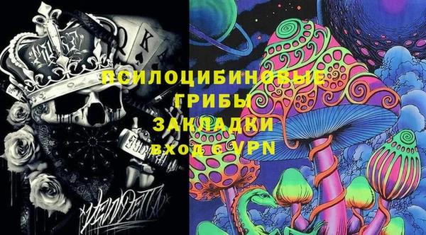 хмурый Пересвет