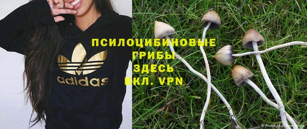 стафф Абинск