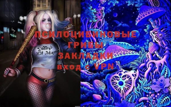 стафф Абинск