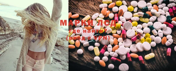 хмурый Пересвет