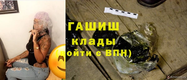 хмурый Пересвет