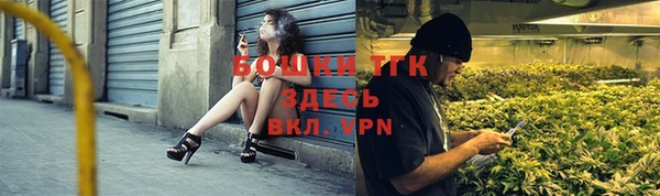 хмурый Пересвет