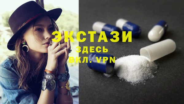 хмурый Пересвет