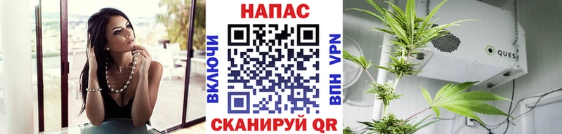 Бошки Шишки Amnesia  купить наркотики сайты  ОМГ ОМГ ONION  Уржум 